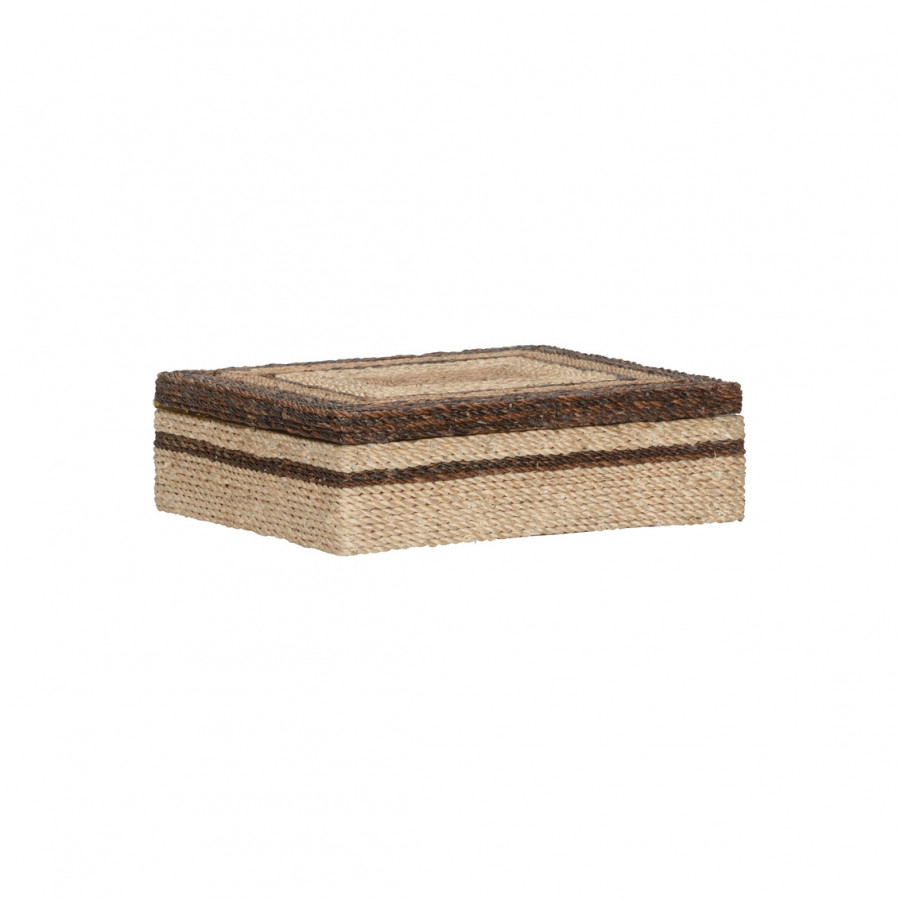 Wildwood - Calusa Box