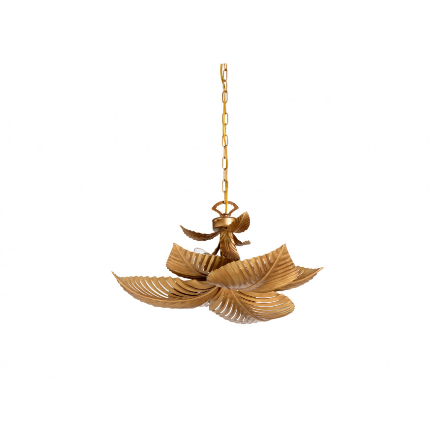 Wildwood - Naples Palm Chandelier