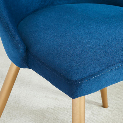 Worldwide Carmilla Side Chair Set of 2 - Blue/Aged Gold