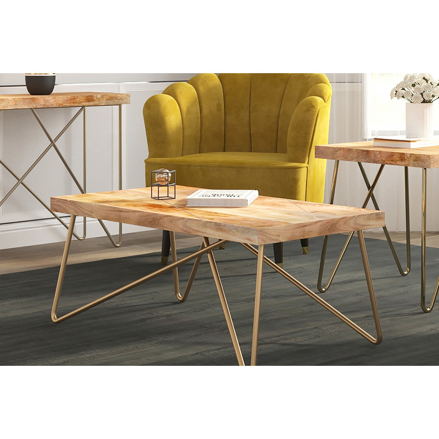 Worldwide - Madox Rectangular Coffee Table in Natural/Aged Gold