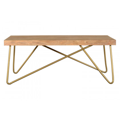 Worldwide - Madox Rectangular Coffee Table in Natural/Aged Gold