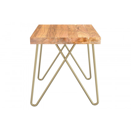 Worldwide - Madox Rectangular Coffee Table in Natural/Aged Gold
