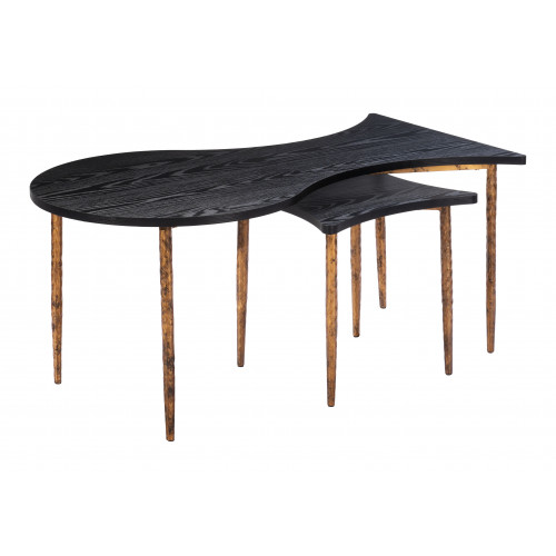 ZUO - Norden Coffee Table Set (2-Piece) in Black/Bronze