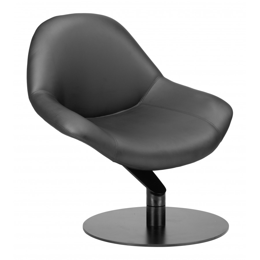 ZUO - Poole Accent Chair in Black