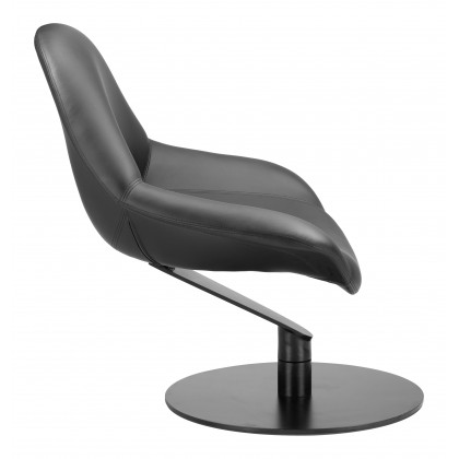 ZUO - Poole Accent Chair in Black