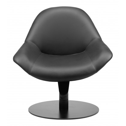 ZUO - Poole Accent Chair in Black