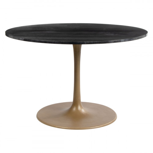 ZUO - Taj Dining Table in Black/Gold