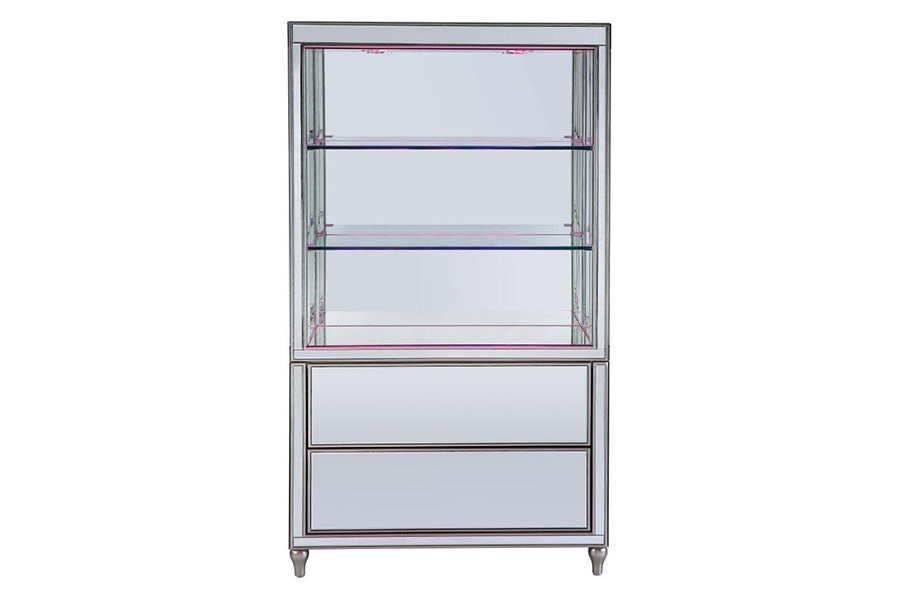 ACME - Dominic Bookcase in Mirrored