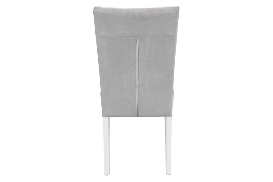 ACME - Elizaveta Side Chair (Set-2) in Gray/White High Gloss