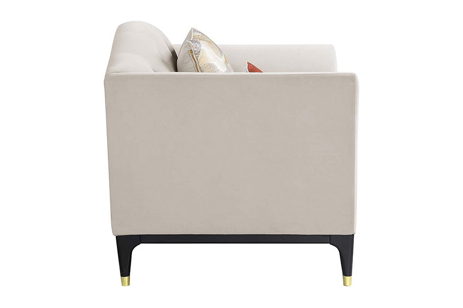 ACME - Tayden Chair with 2 Pillows in Beige