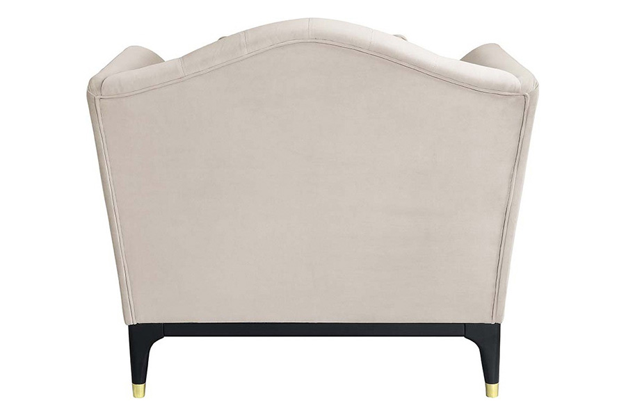 ACME - Tayden Chair with 2 Pillows in Beige
