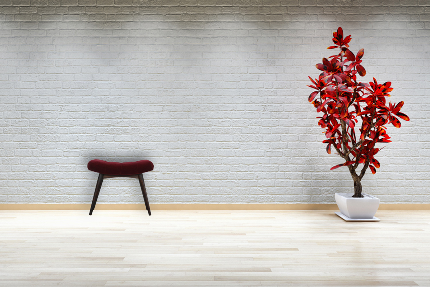 Artisan Curved Bench - Wine Red, Velvet