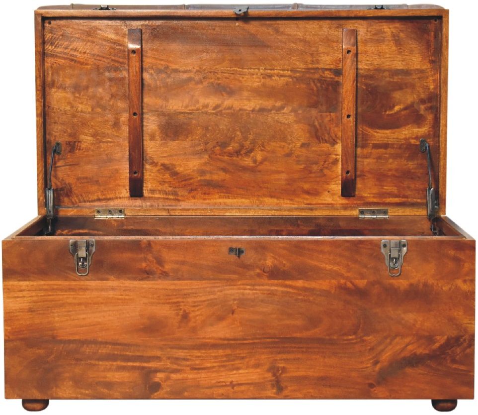 Artisan - Buffalo Hide Storage Trunk