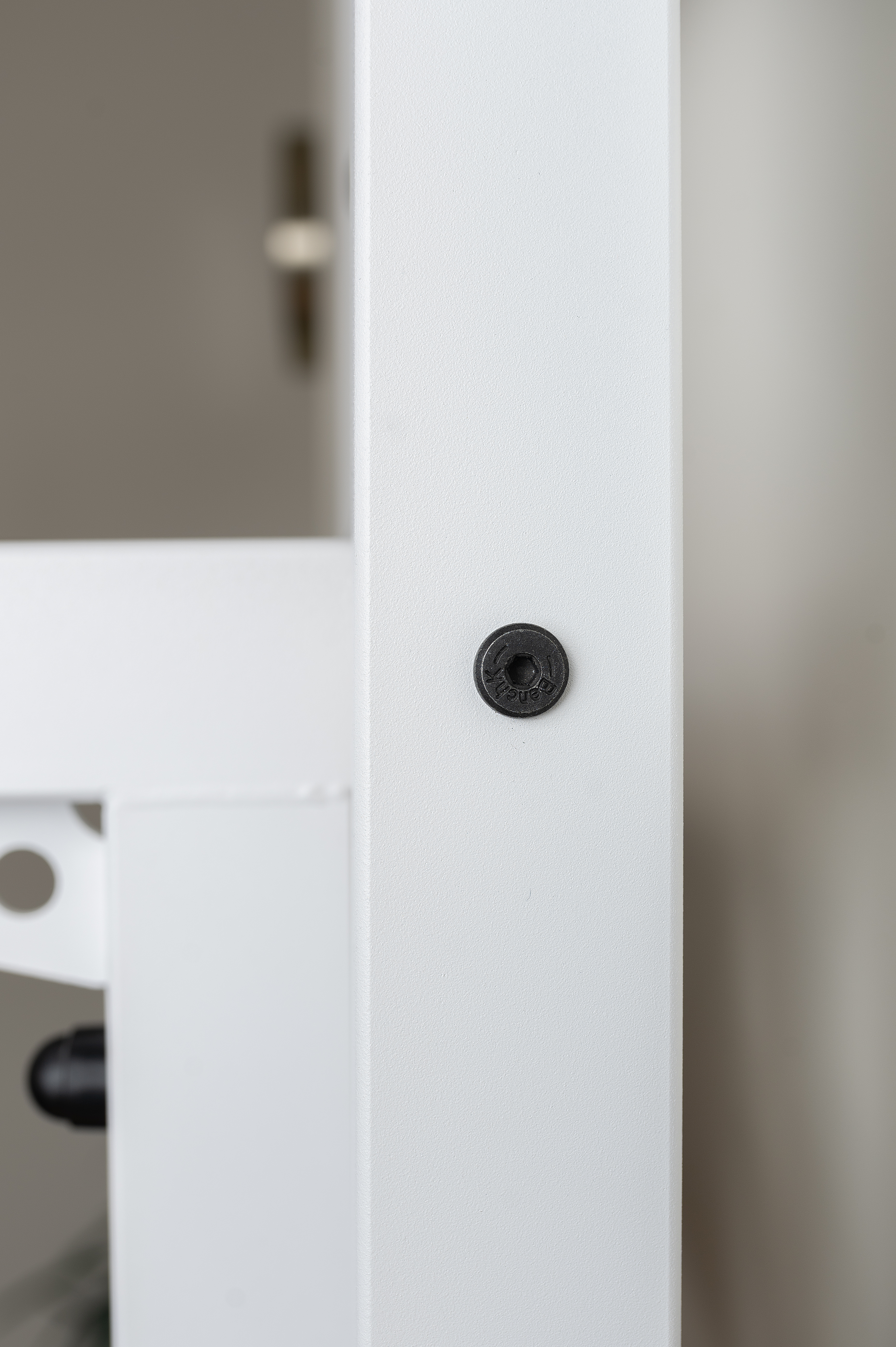 BenchK 521W Wall Bar with Pull-Up Bar - White/Wood