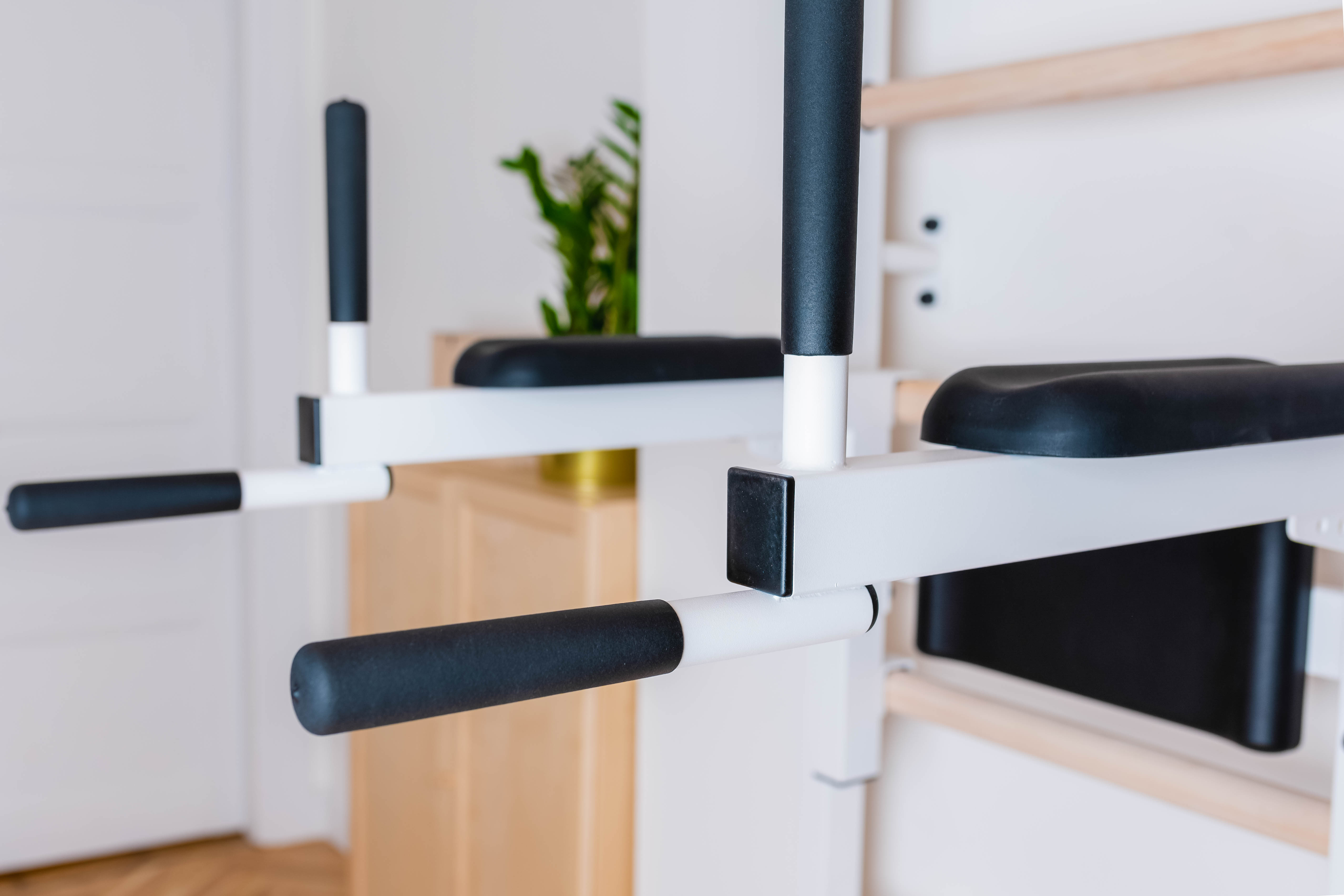 BenchK 222W Wall Bar with Fixed Pull-Up Bar and Dip Bar - White/Wood