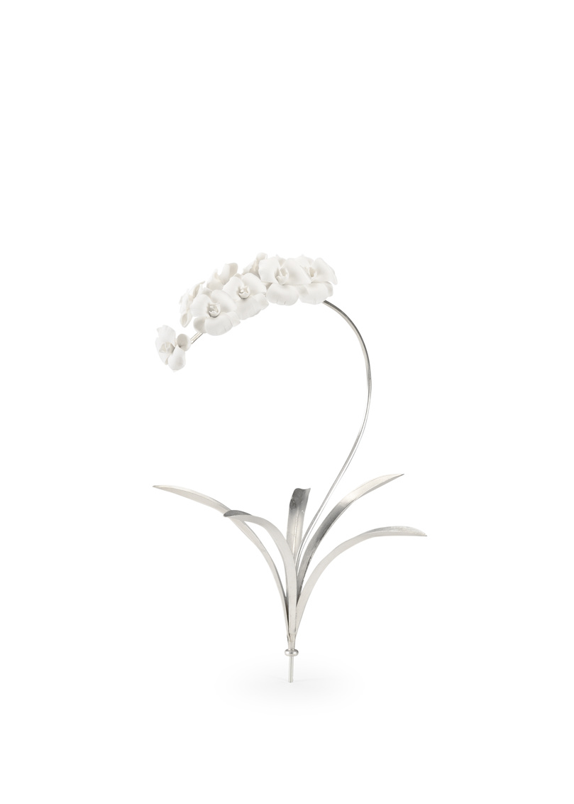 Chelsea House - Orchid Stem