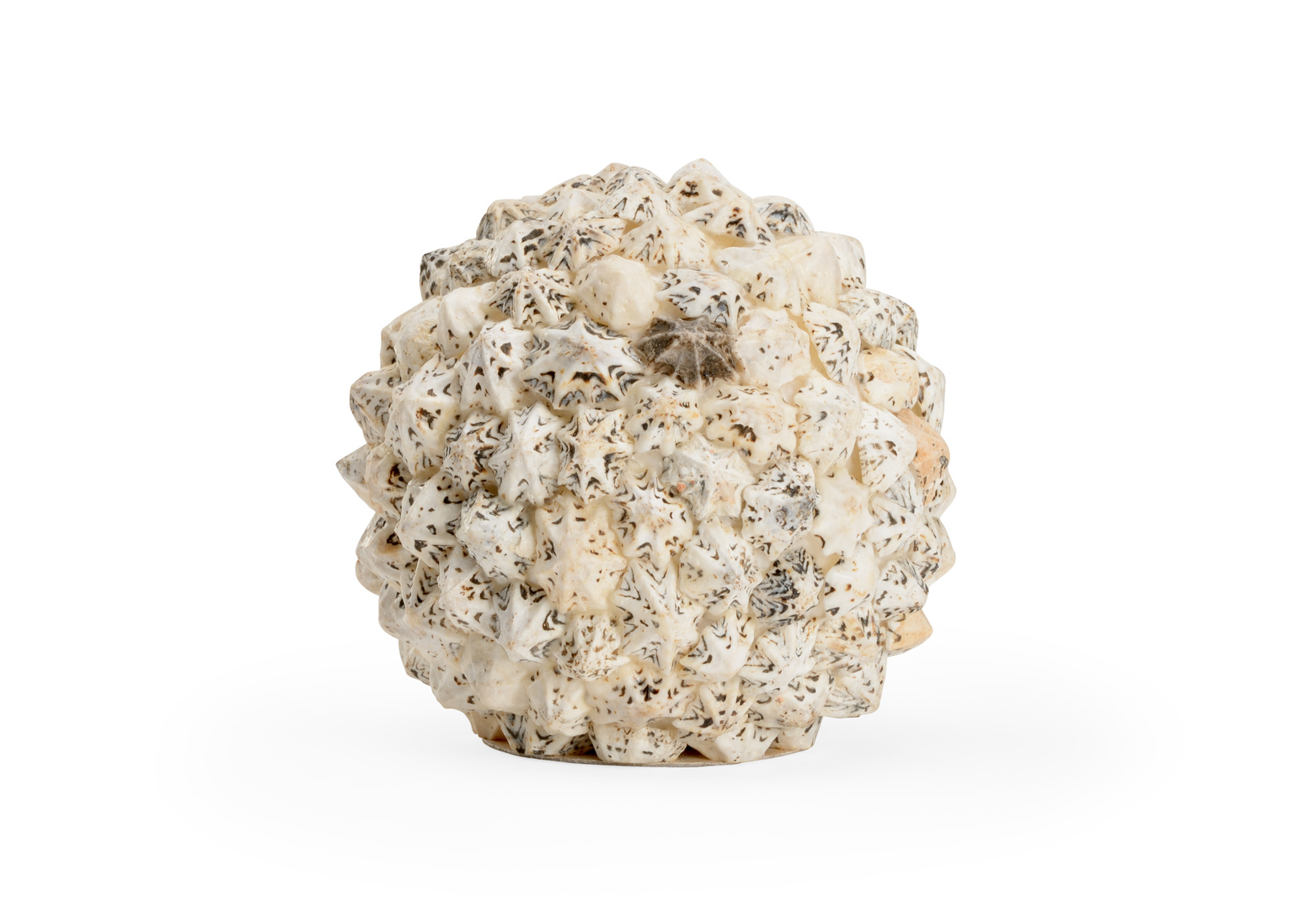 Chelsea House - Shell Ball