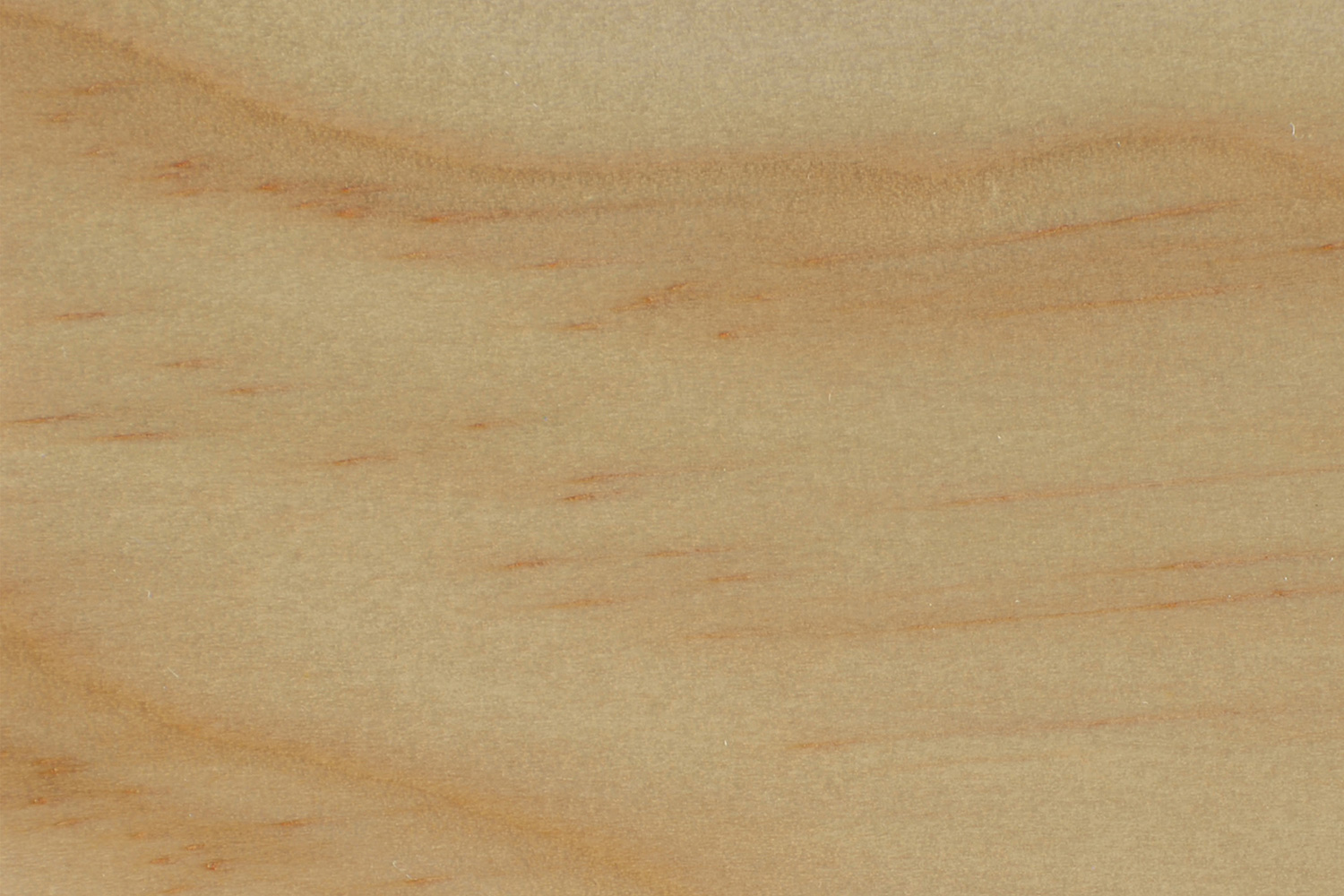Coaster 3-Panel Folding Screen - Natural/White