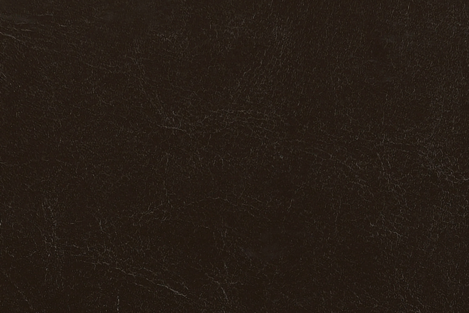 Coaster - Monika Upholstered Stationary Loveseat in Chocolate