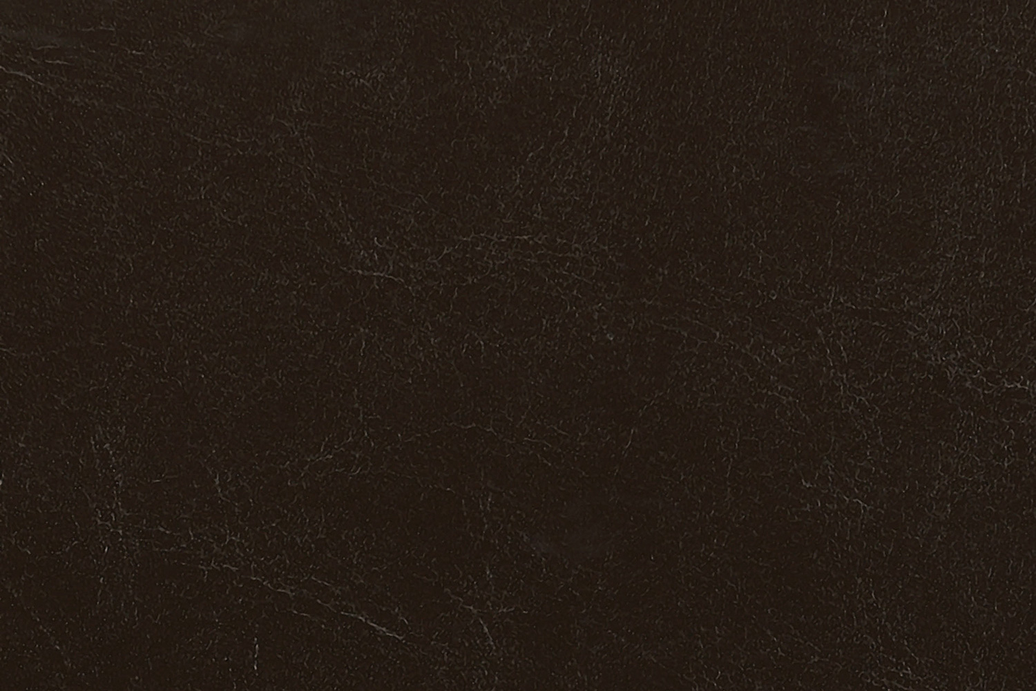 Coaster - Monika Upholstered Stationary Chair in Chocolate