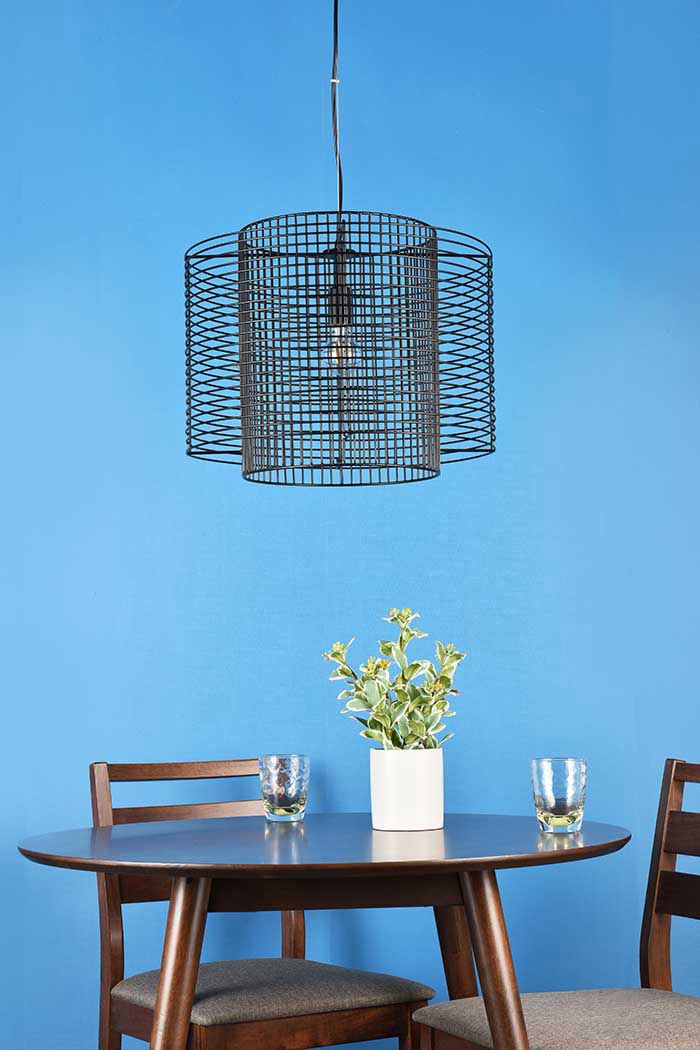 Elegant Deleon 1 Light Pendant - Black (LD2344BK)