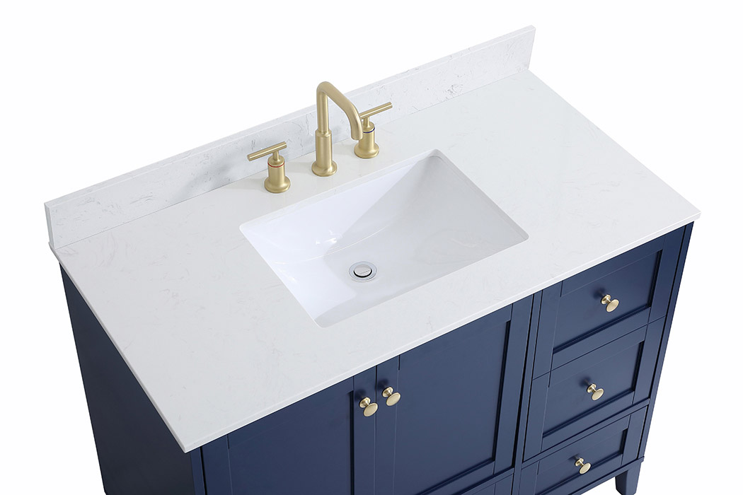 Elegant Bathroom Vanity - Blue (VF18042BL-BS)