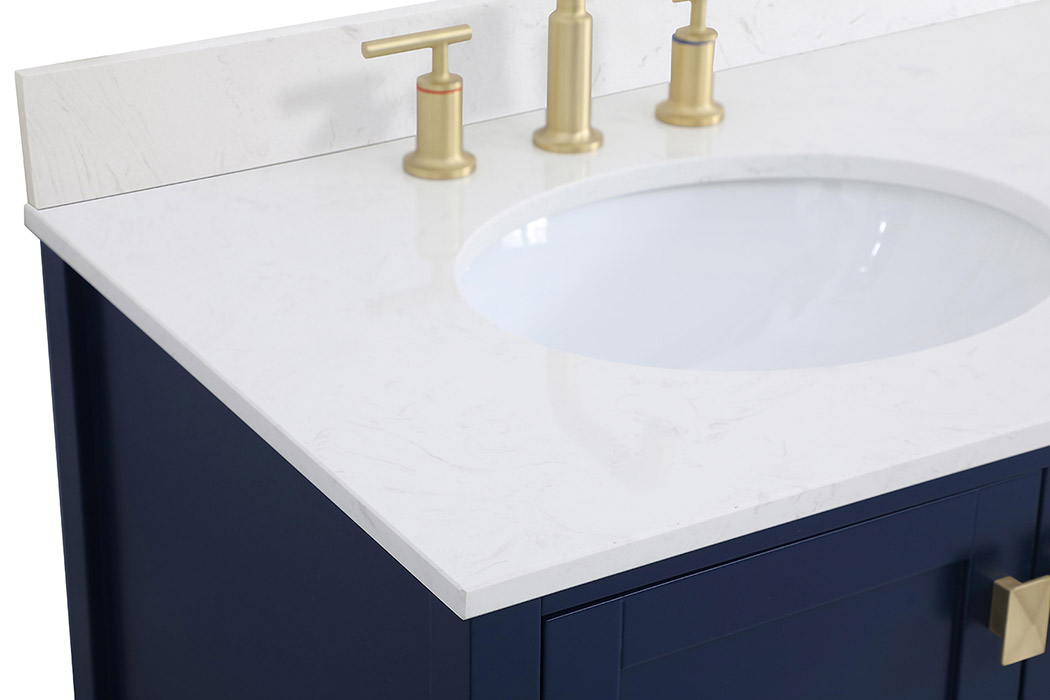 Elegant Bathroom Vanity - Blue (VF18842BL-BS)