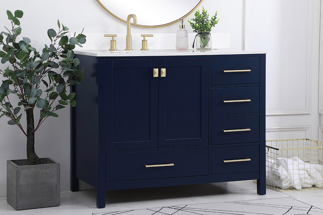 Elegant Bathroom Vanity - Blue (VF18842BL-BS)