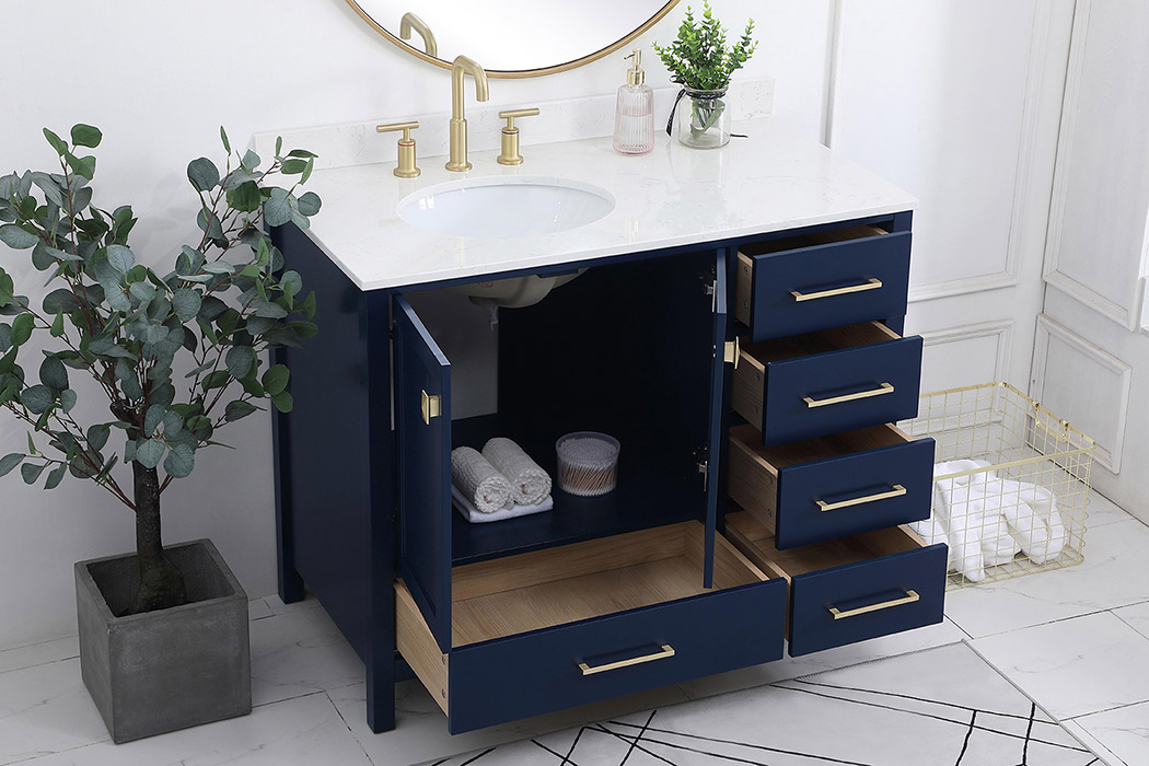 Elegant Bathroom Vanity - Blue (VF18842BL-BS)