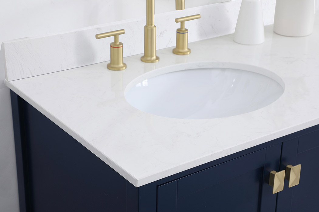 Elegant Bathroom Vanity - Blue (VF18842BL-BS)