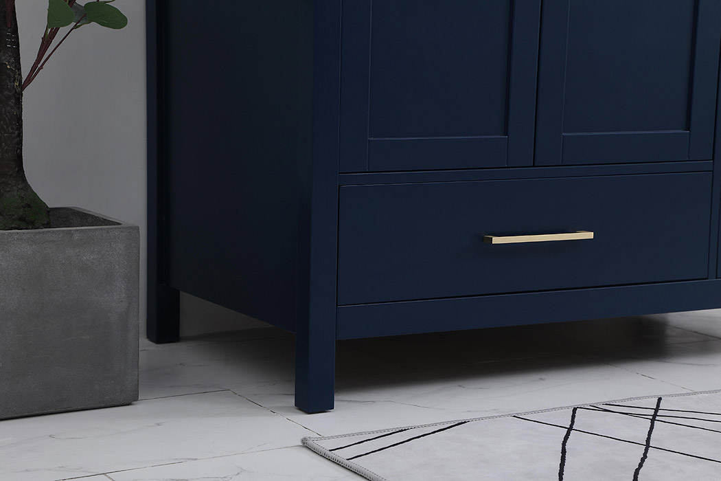 Elegant Bathroom Vanity - Blue (VF18842BL-BS)