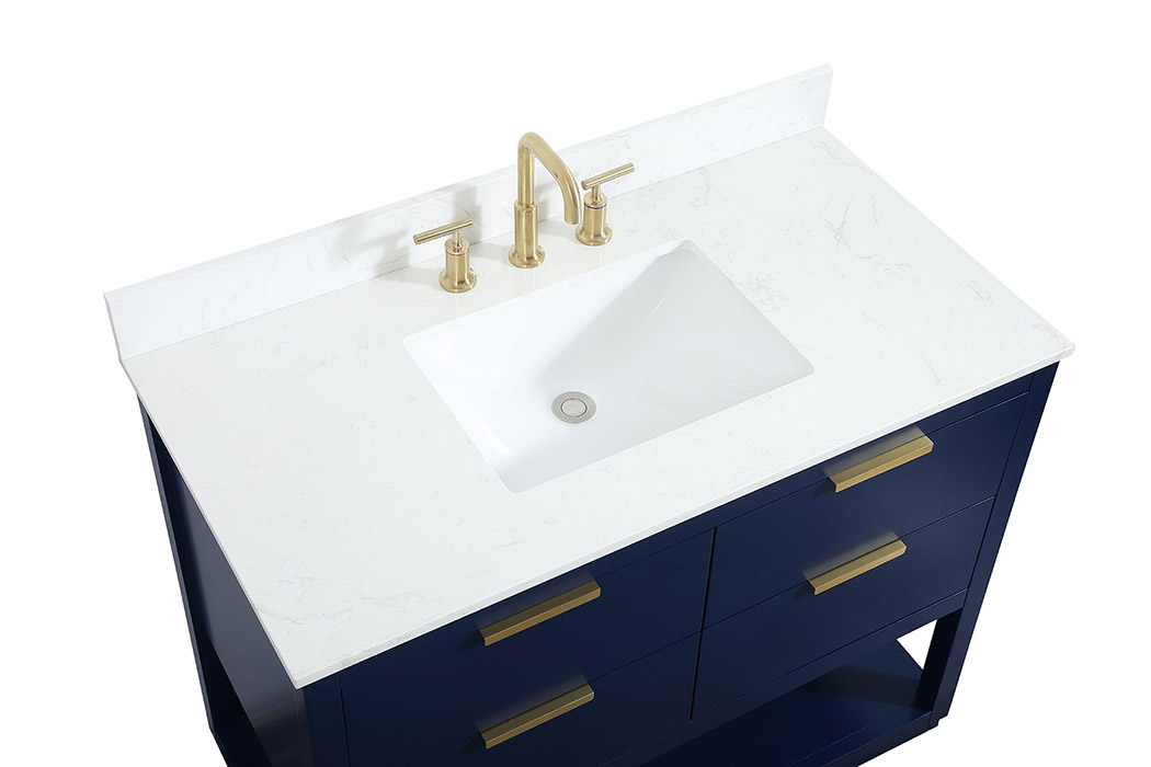 Elegant Bathroom Vanity - Blue (VF19242BL-BS)