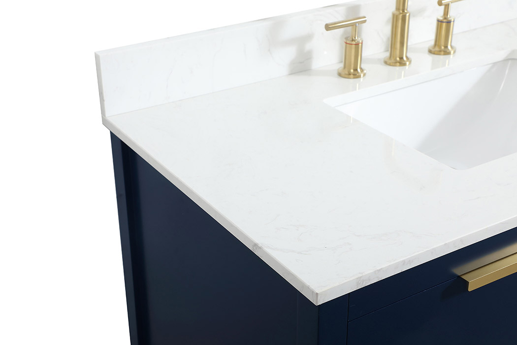 Elegant Bathroom Vanity - Blue (VF19242BL-BS)