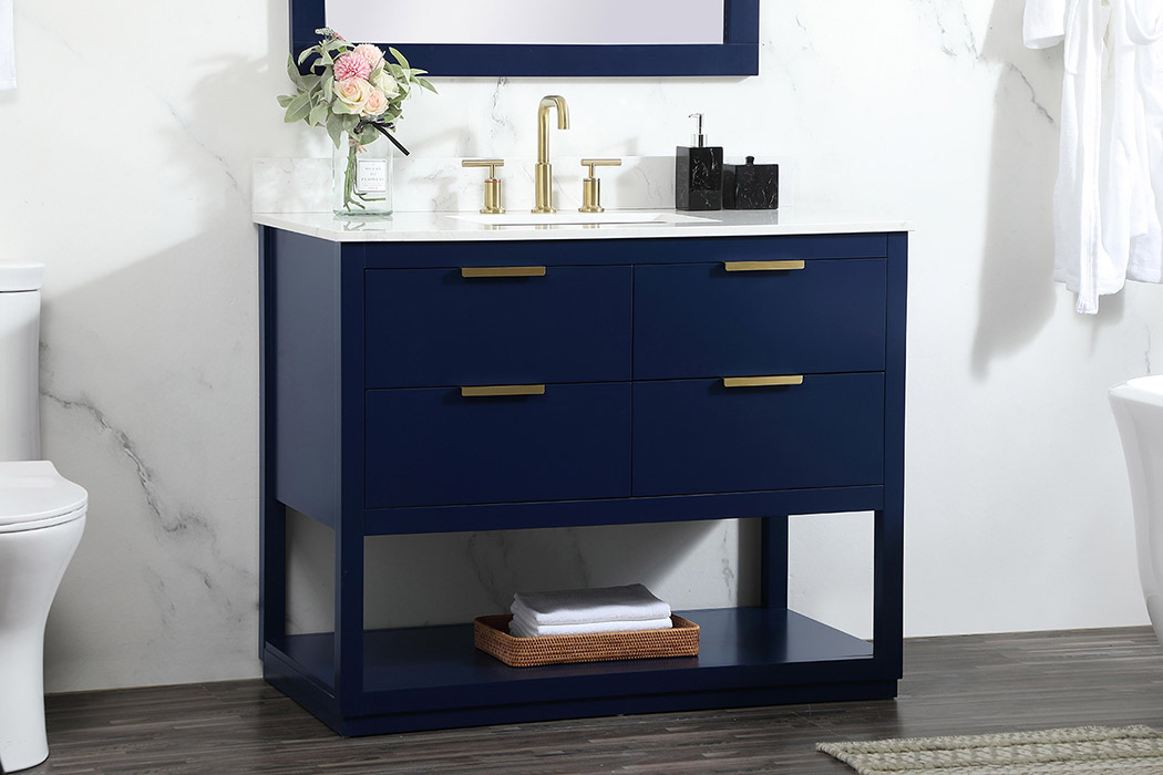 Elegant Bathroom Vanity - Blue (VF19242BL-BS)