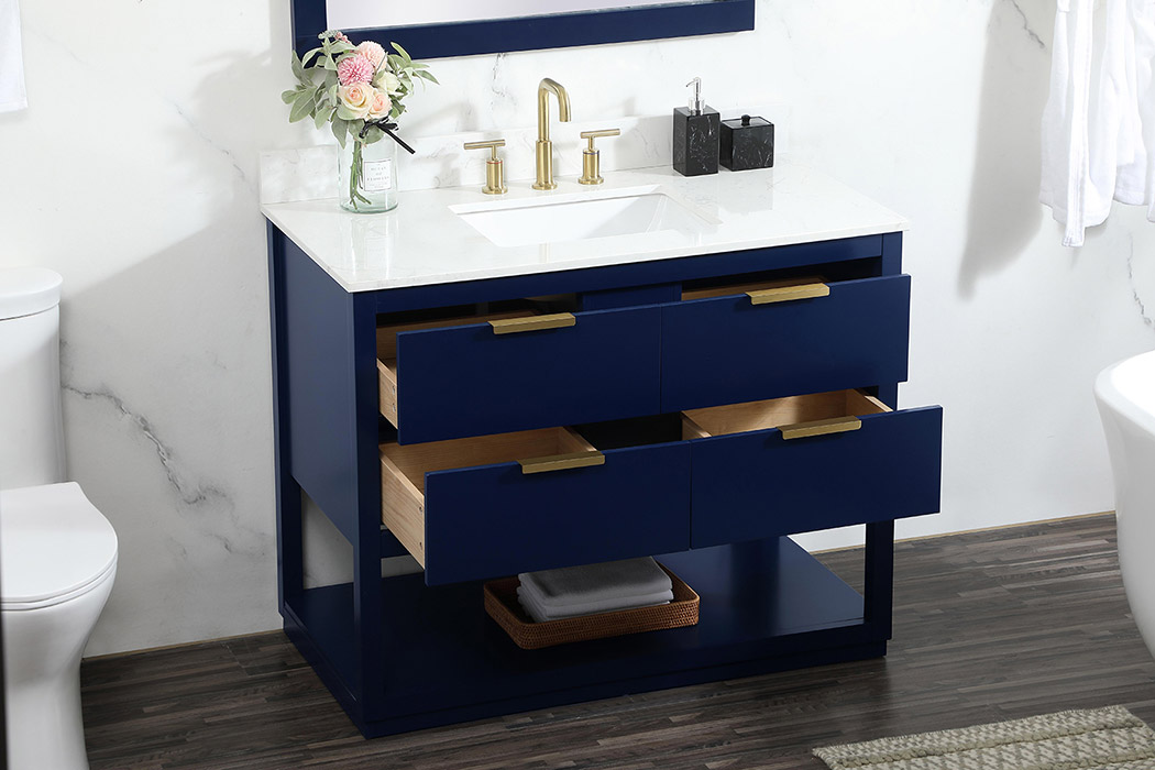 Elegant Bathroom Vanity - Blue (VF19242BL-BS)