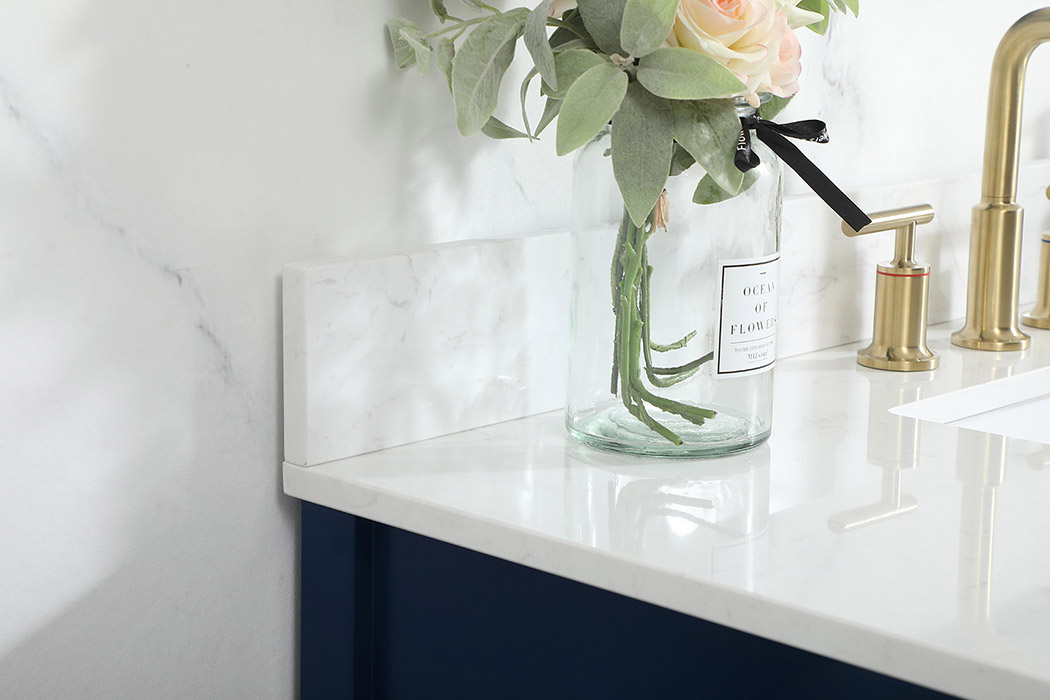 Elegant Bathroom Vanity - Blue (VF19242BL-BS)