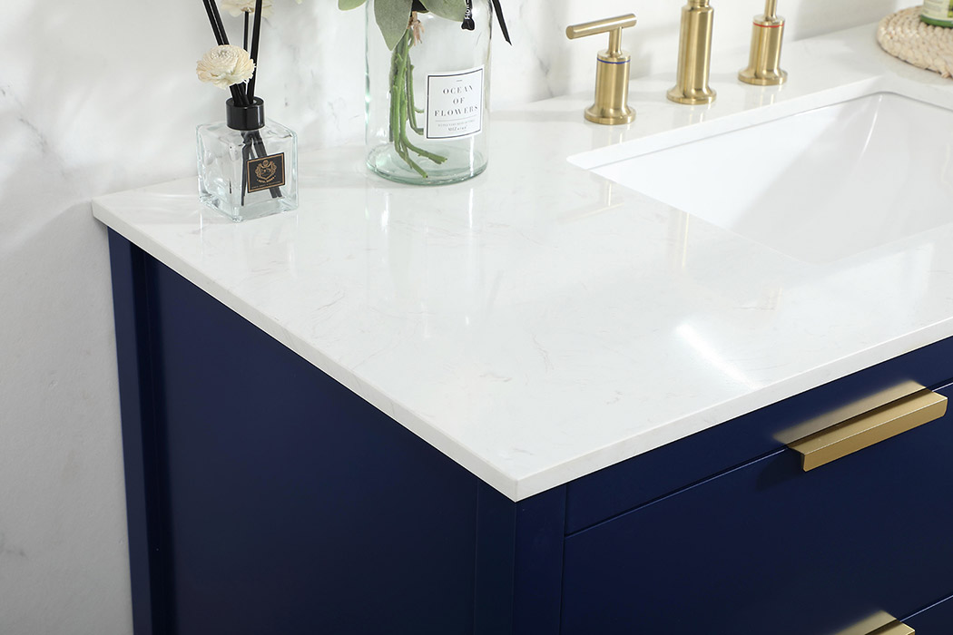 Elegant Bathroom Vanity - Blue (VF19248BL)