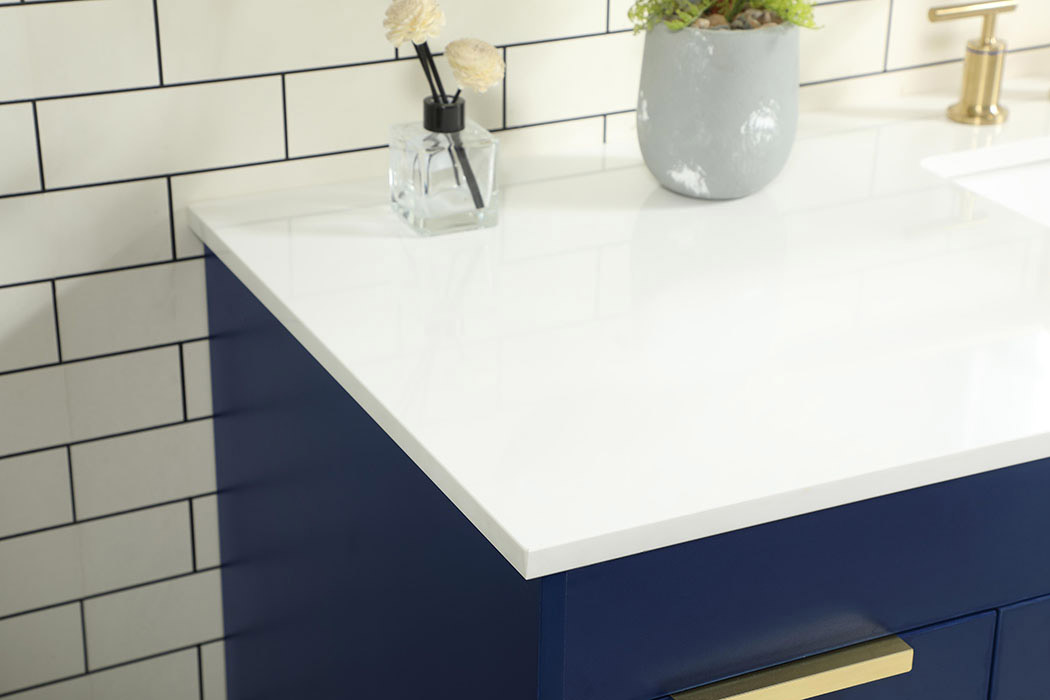 Elegant Bathroom Vanity - Blue (VF48860MBL)