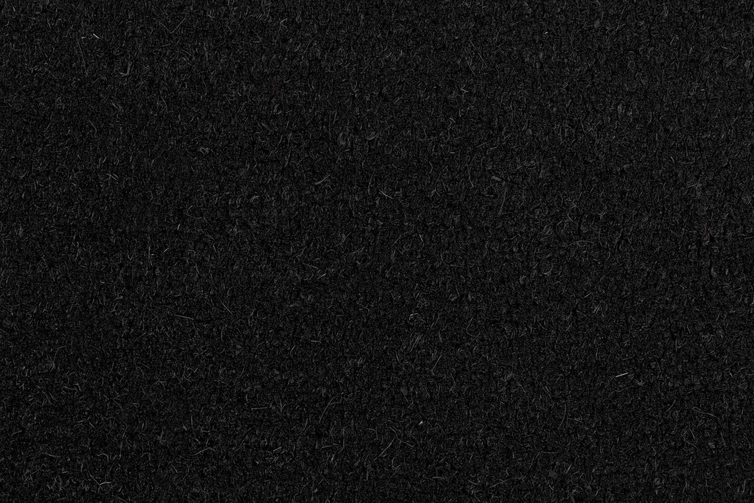 BLNK Harbold Coir Indoor-Outdoor Solid Doormat with Non-Slip Backing - Black