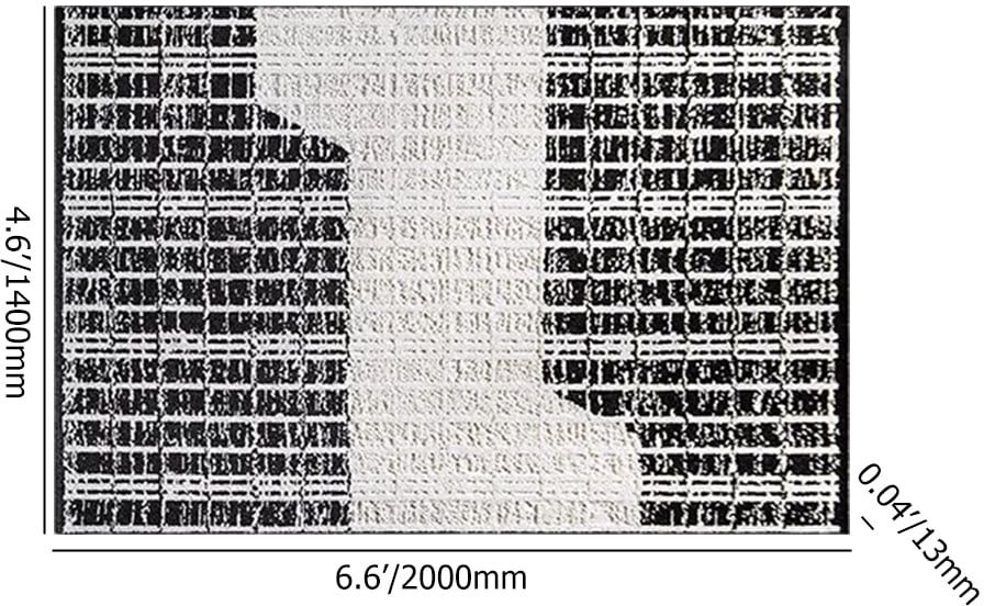 HMR - 5'x7' Black&White Diatom Silk Indoor Waterproof and Stain-Resistant Rectangle Area Rug