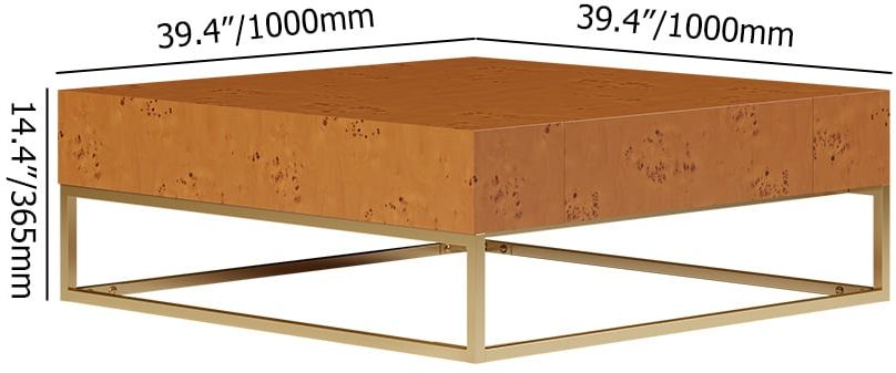 HMR - Modern 39.4" Wooden Burl Coffee Table Square with 2 Drawers in Gold Frame