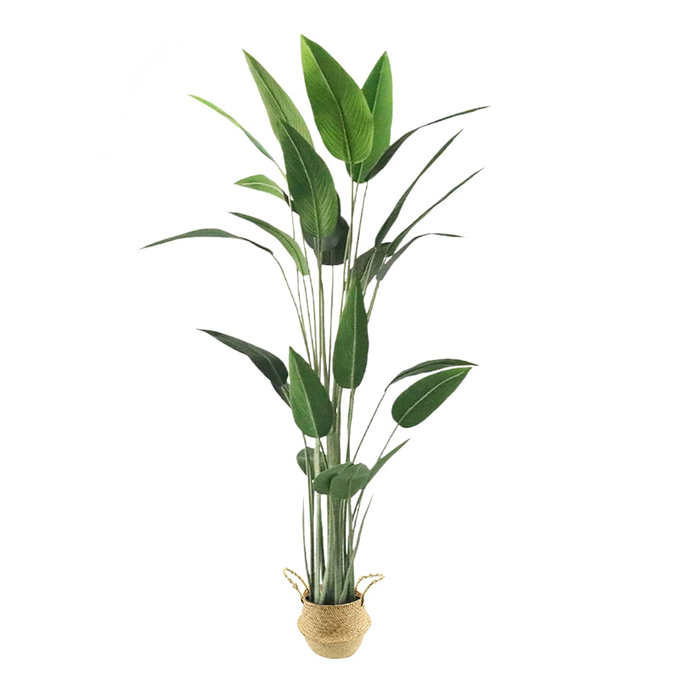 HMR 70.9" Artificial Canna Tree 1-Piece Faux Plastic Indoor & Outdoor Plant - With Basket