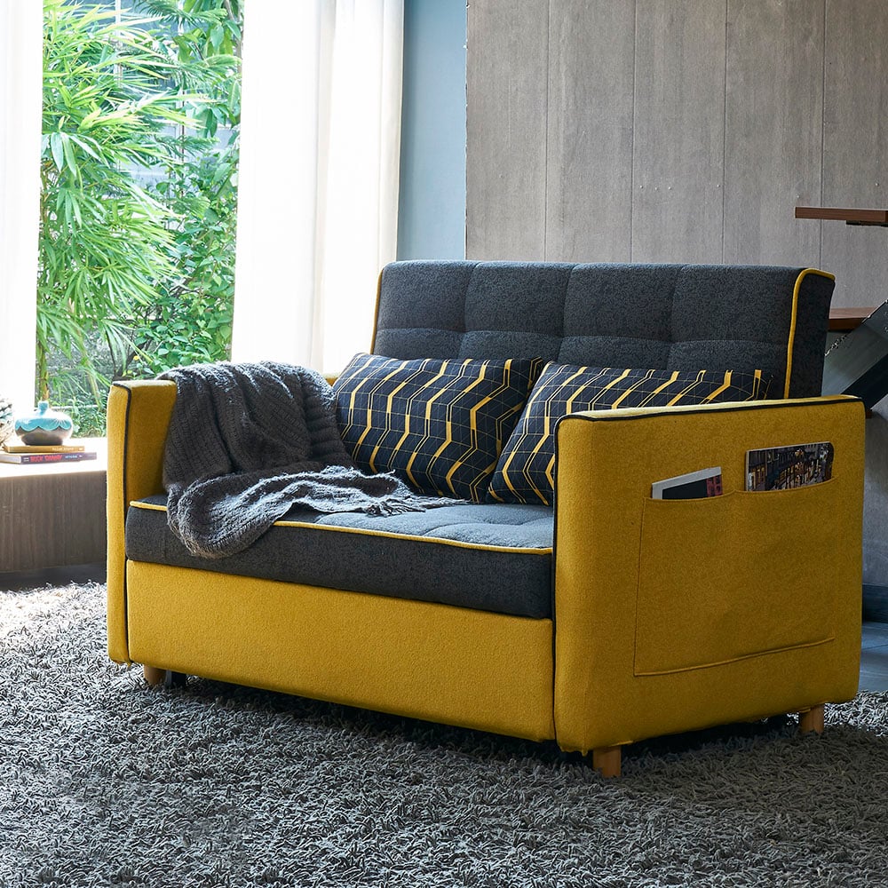 HMR - 2 Seat 55.1"W Convertible Sofa Bed