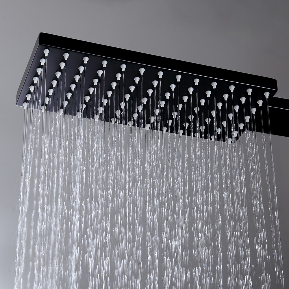 HMR - Shower Fixture with Rain Shower Head and Hand Shower in Black