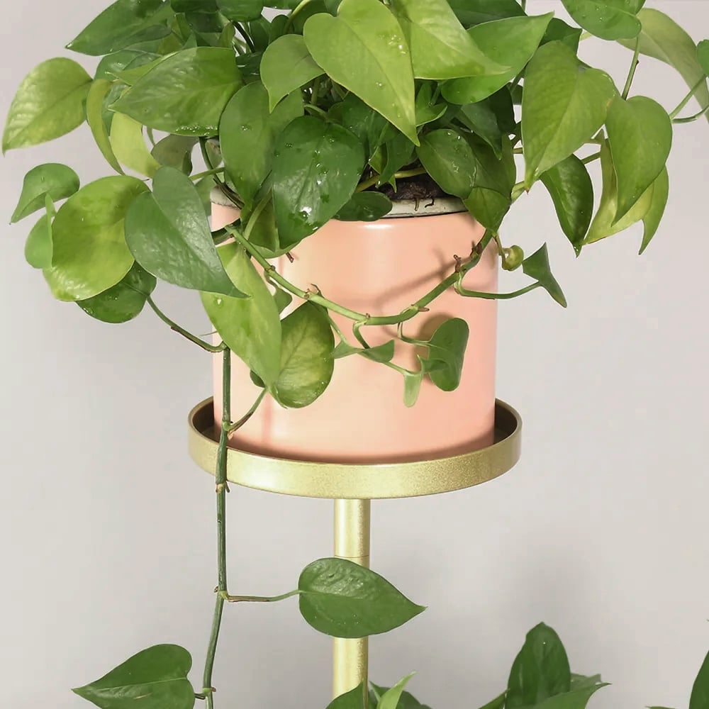 HMR - Metal Gold Plant Pot for Indoor in Large in 4-Shelf