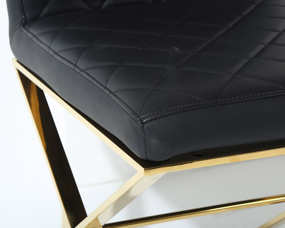 HMR Dochic Series Modern Dining Chairs with PU Leather Upholstery (Set of 2) - Black/Gold