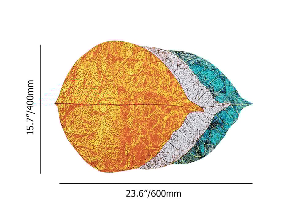 HMR - 2 PCS Creative Novely Colorful Bath Diatom Mud Mat Water-Absorbent Non-slip Rug Set