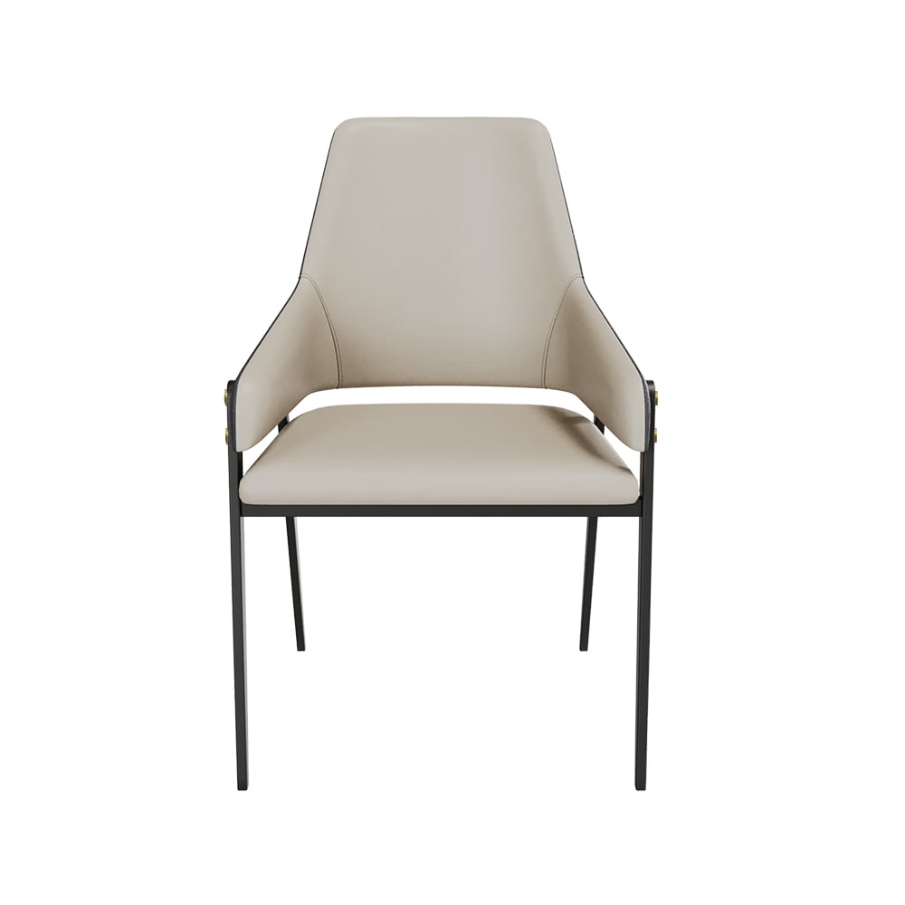 HMR - Modern Dining Chairs with PU Leather Upholstery (Set of 2) - Khaki and Blue