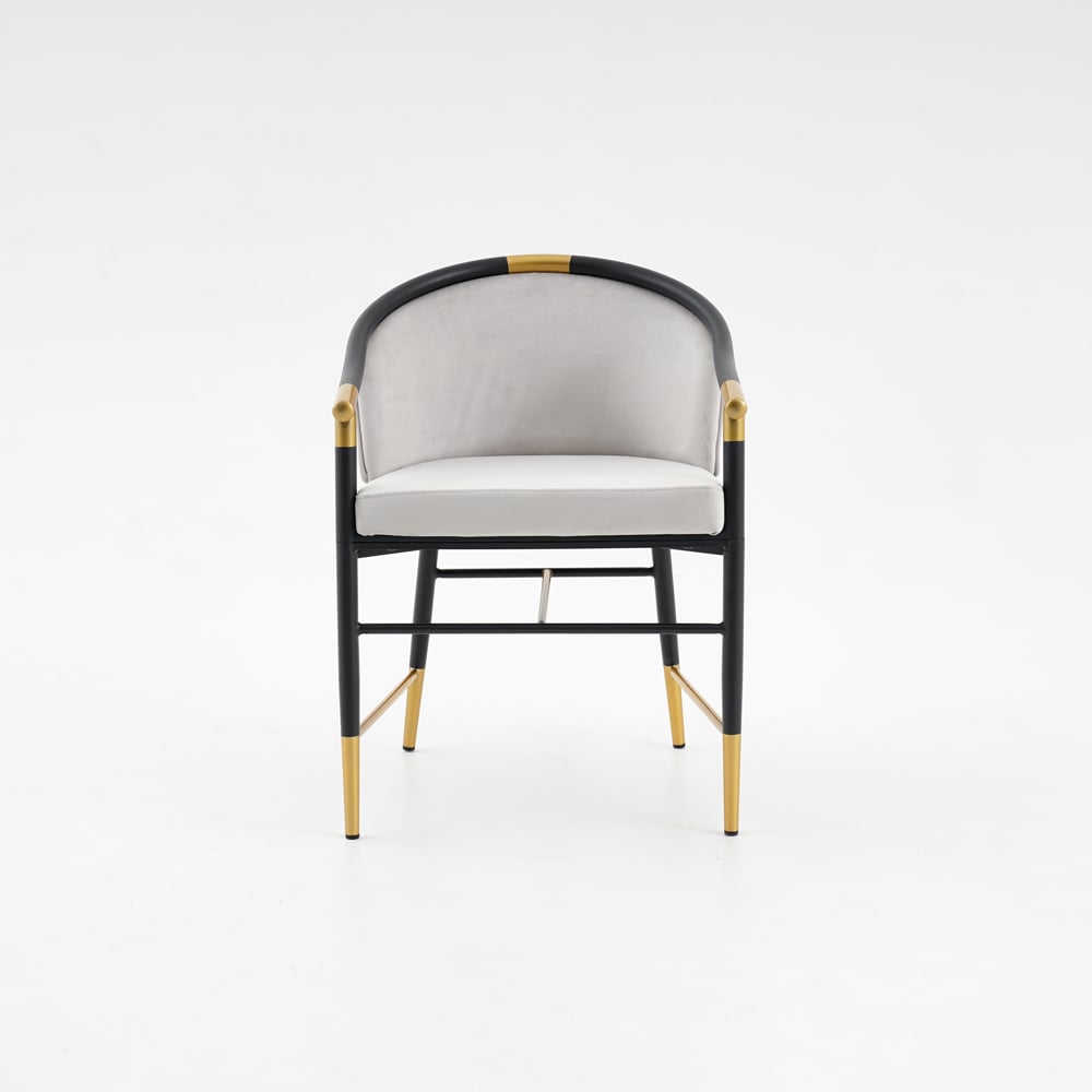 HMR Craines Series Modern Dining Chairs with Velvet Upholstery - Gray, Set of 2
