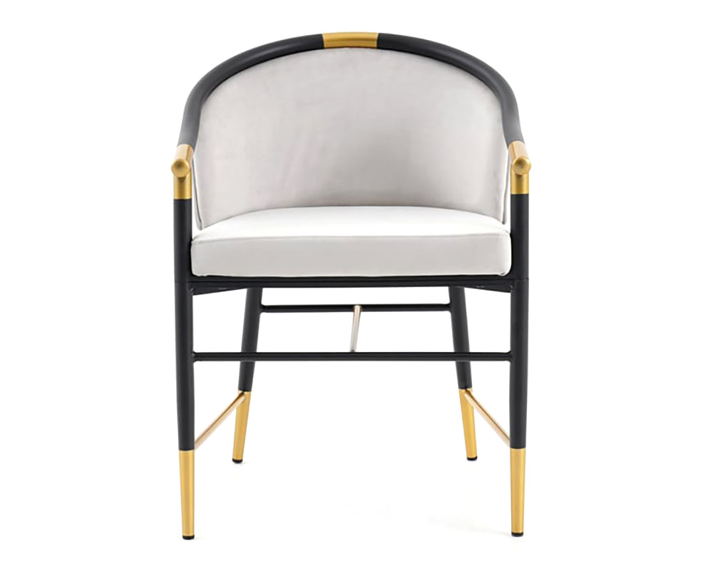 HMR Craines Series Modern Dining Chairs with Velvet Upholstery - Gray, Set of 2
